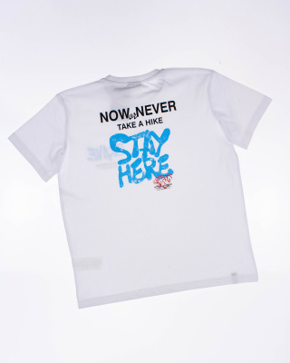 2024_01_31_0084401 2024_01_31_0084401