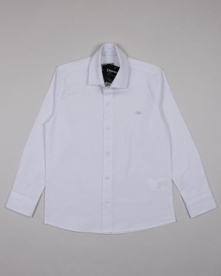 2024_04_11_0089343 2024_04_11_0089343