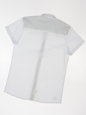 20260325-IMG_2293 20260325-IMG_2293