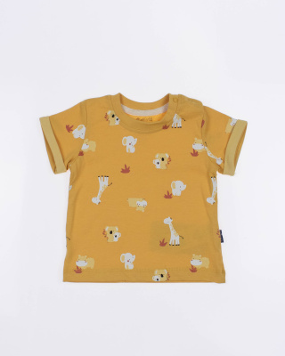 2024_04_29_0090564 2024_04_29_0090564